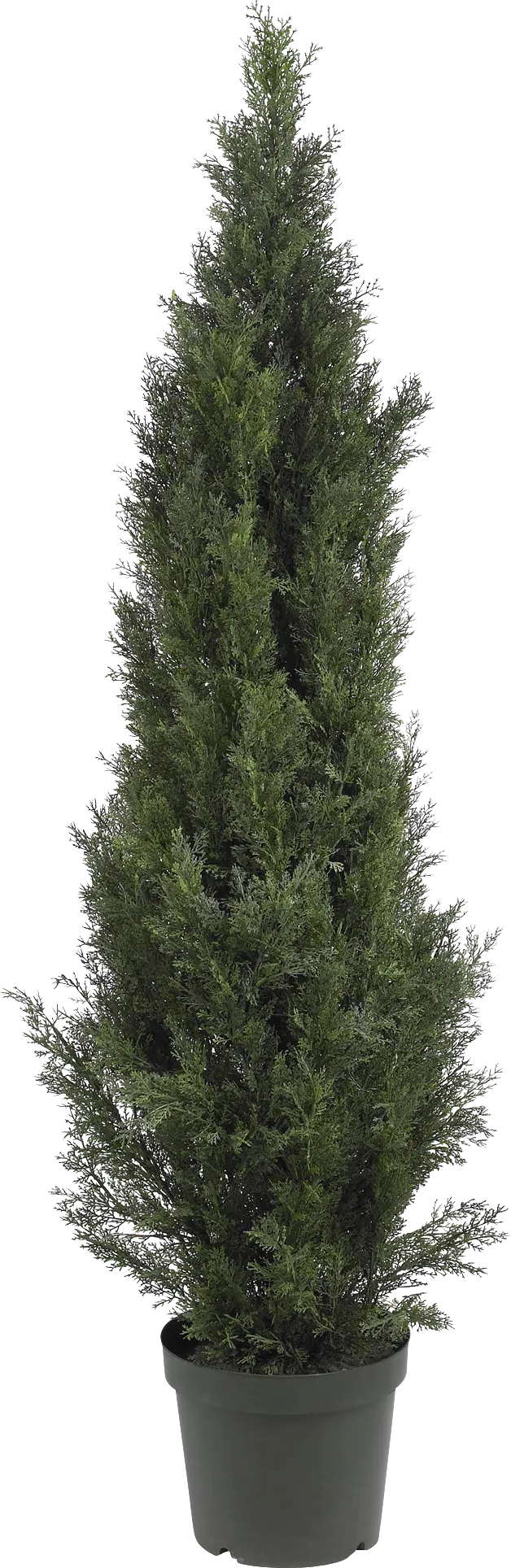Brinlee Green Cedar Indoor/Outdoor Silk Tree