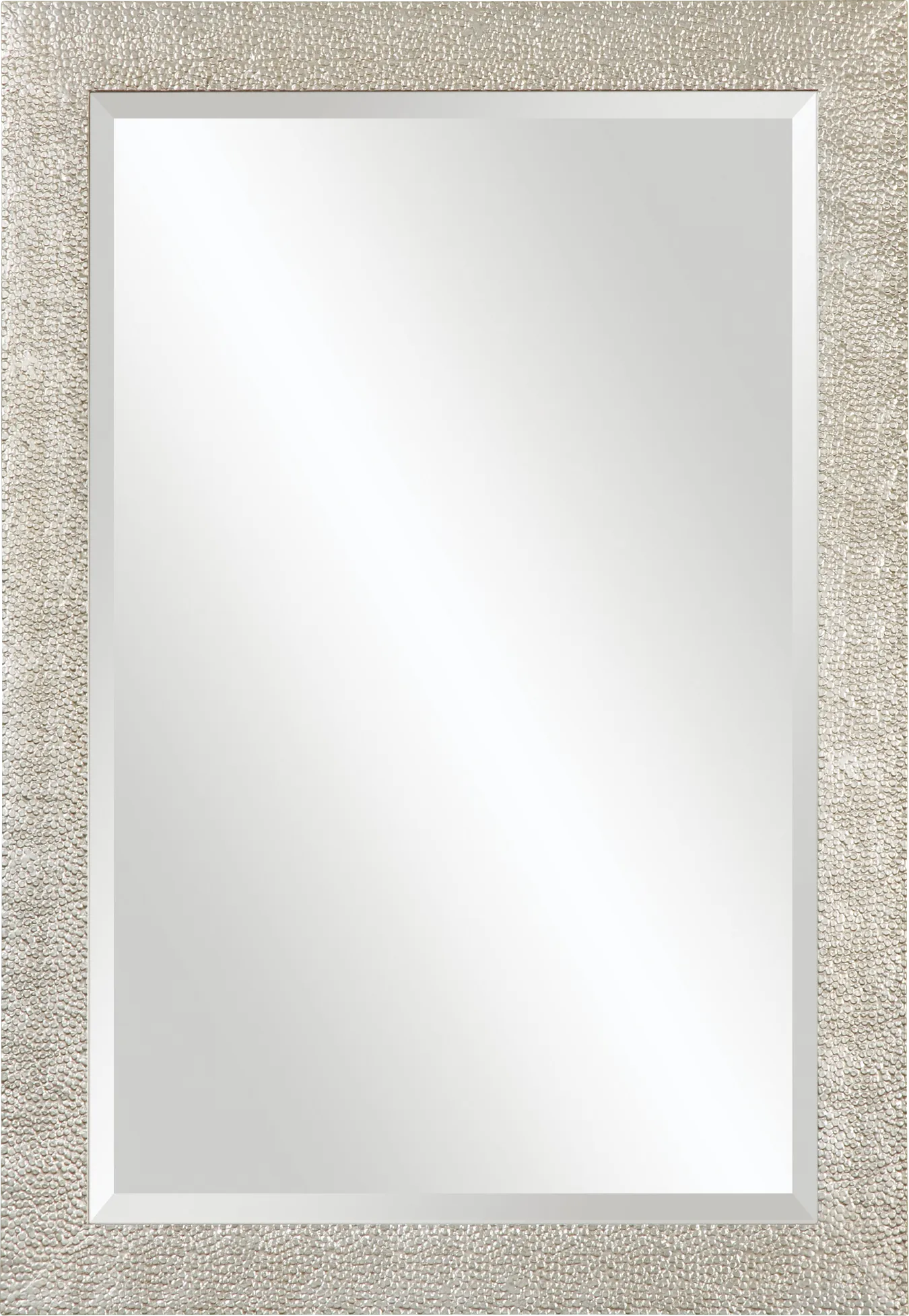 Daryle Silver Mirror