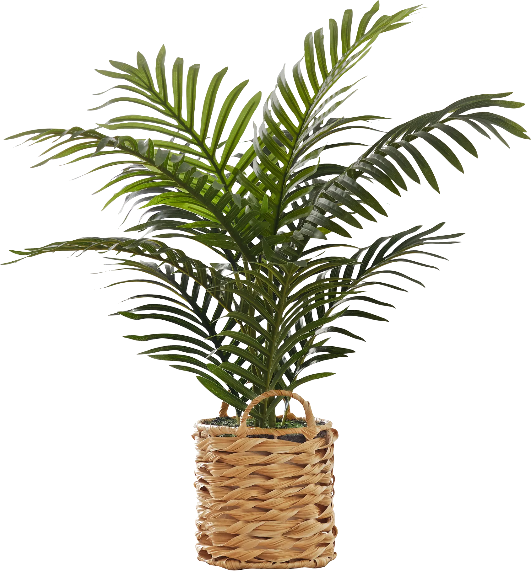 Bromeliad Green Artificial Palm Plant