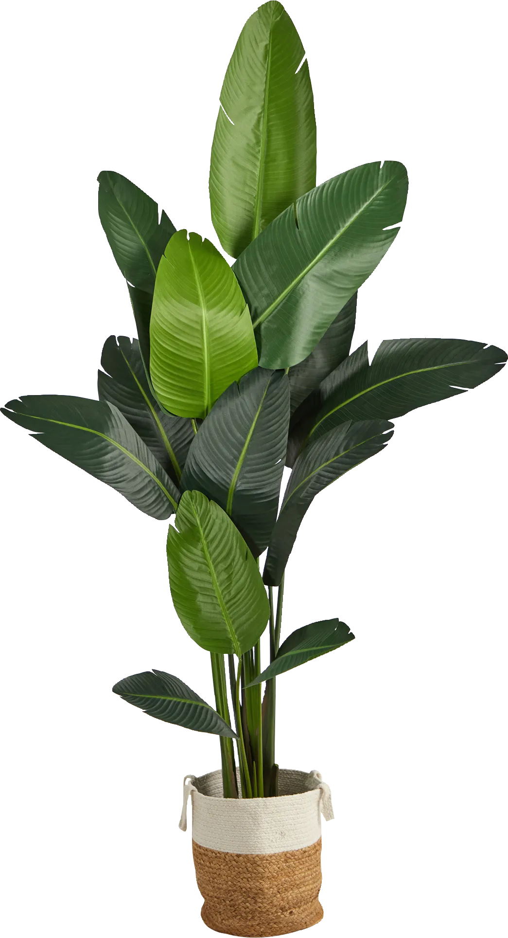 Candsu Green Tree with Basket