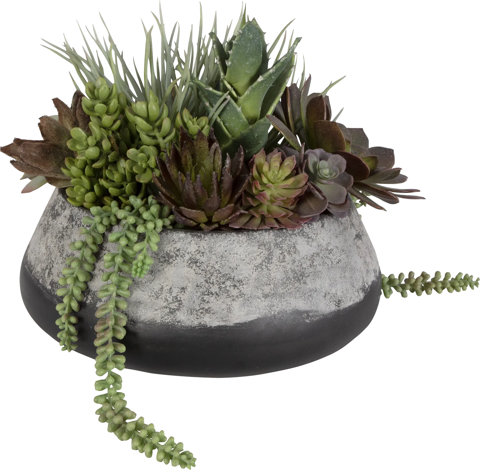 Bijou Gray Silk Plant