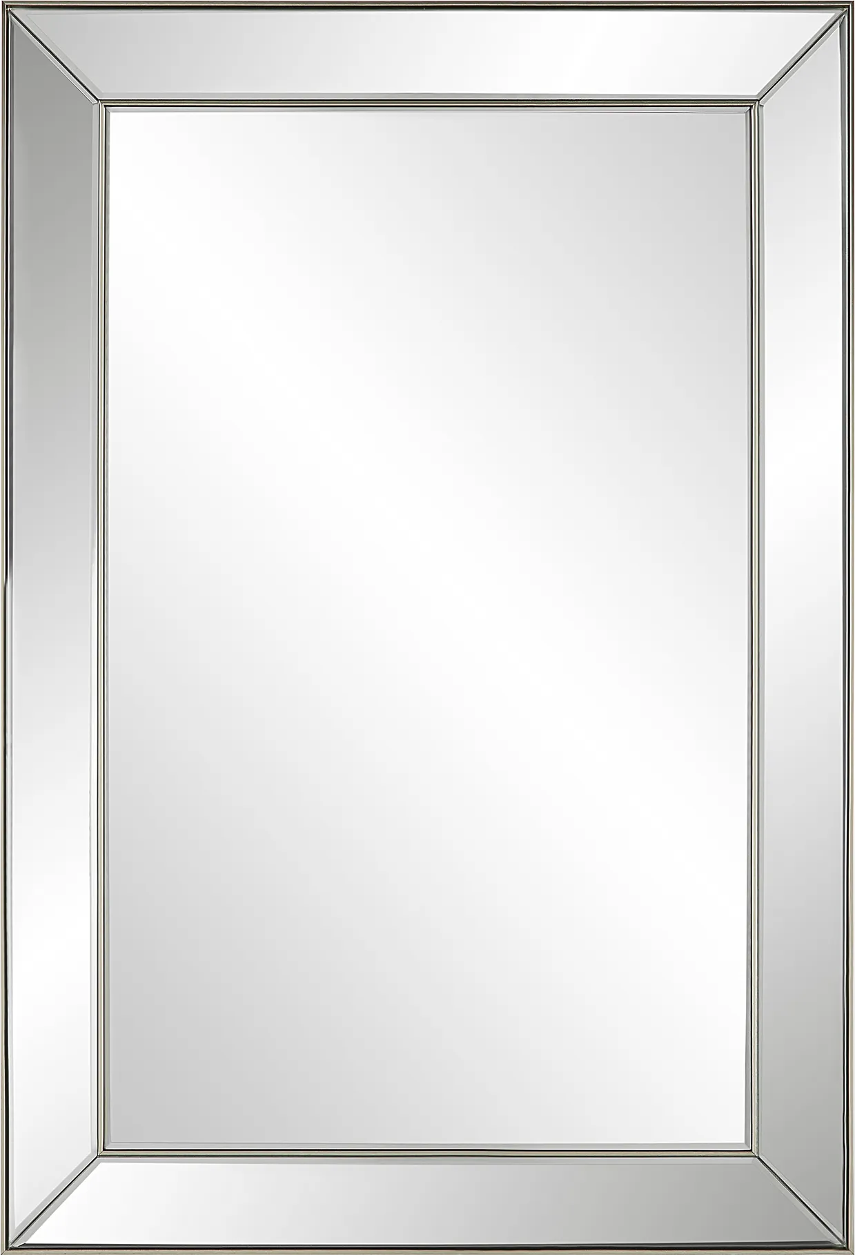Daphnea Silver Mirror