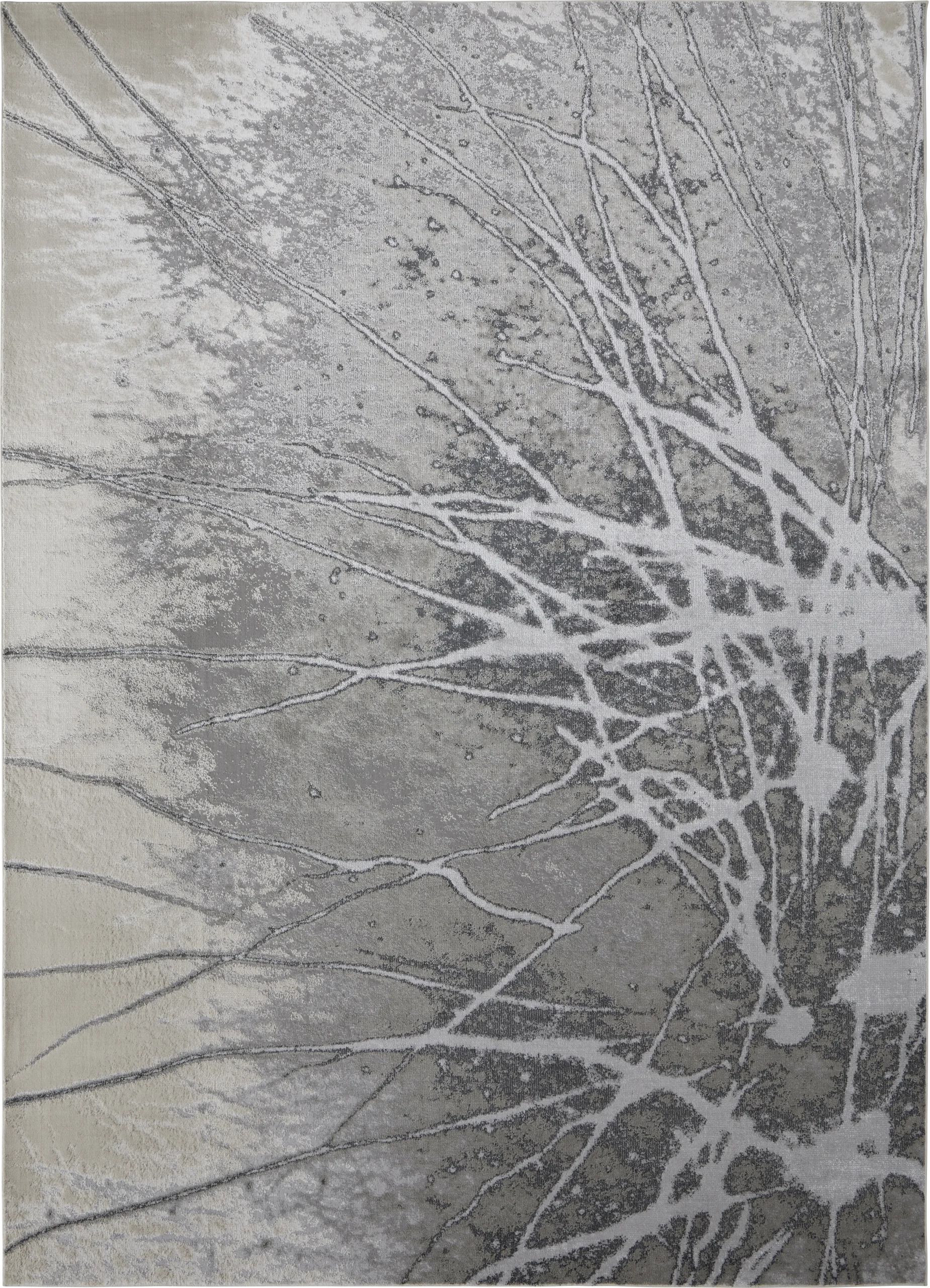 Daymere Silver 6'7 x 9'6 Rug