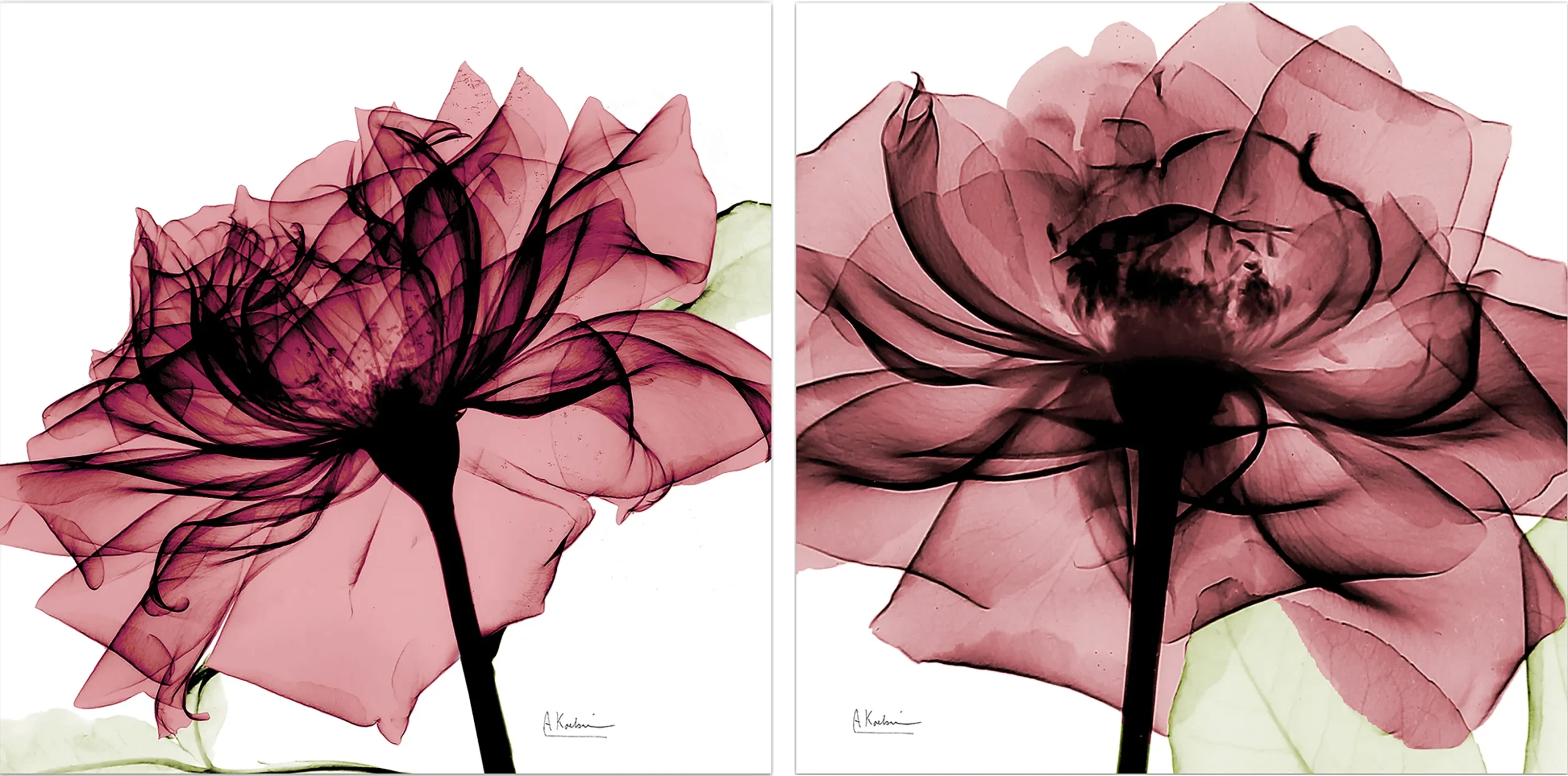 Chamizal Pink Artwork, Set of 2