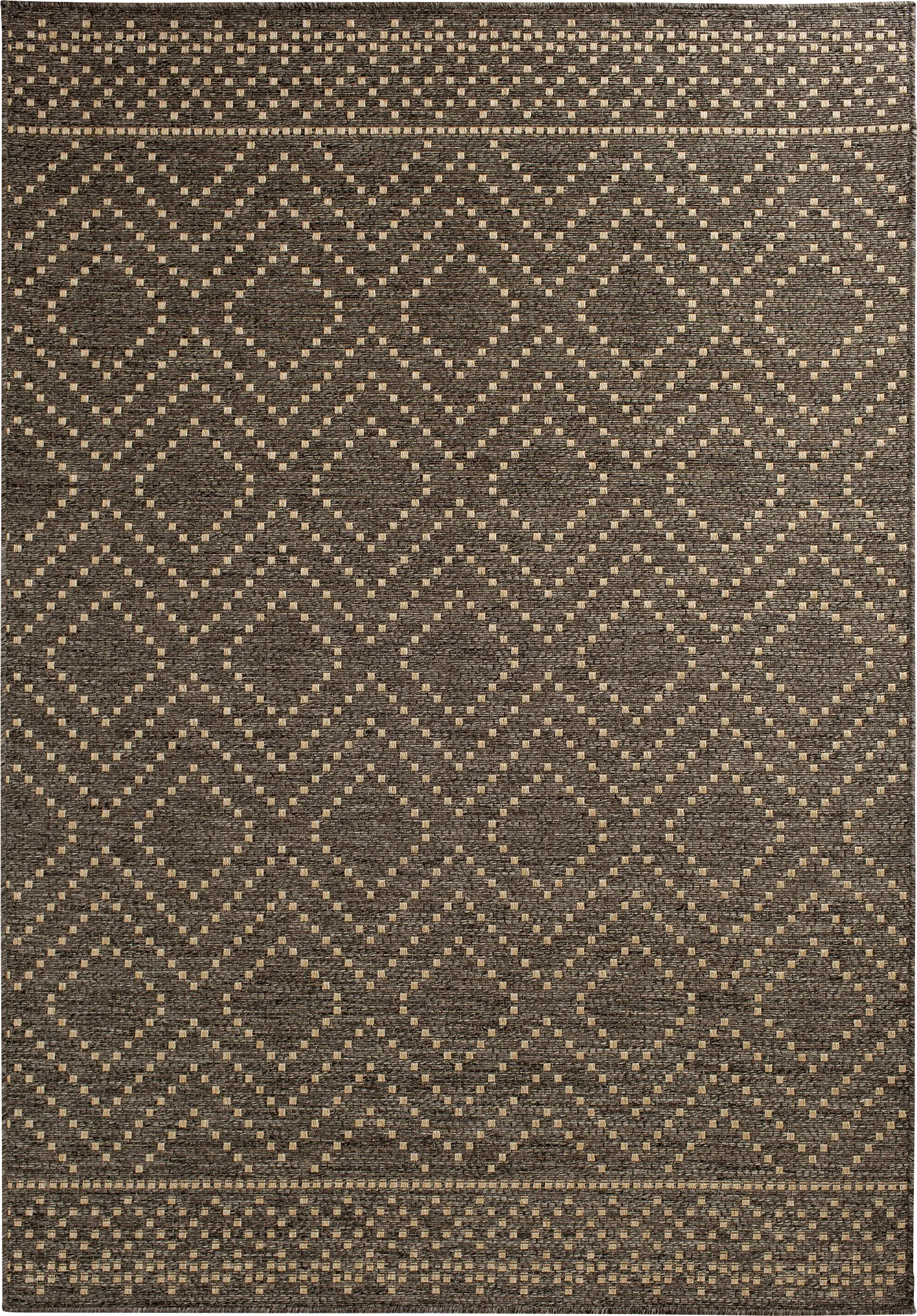 Danyal Brown 6'7 x 9'6 Indoor/Outdoor Rug