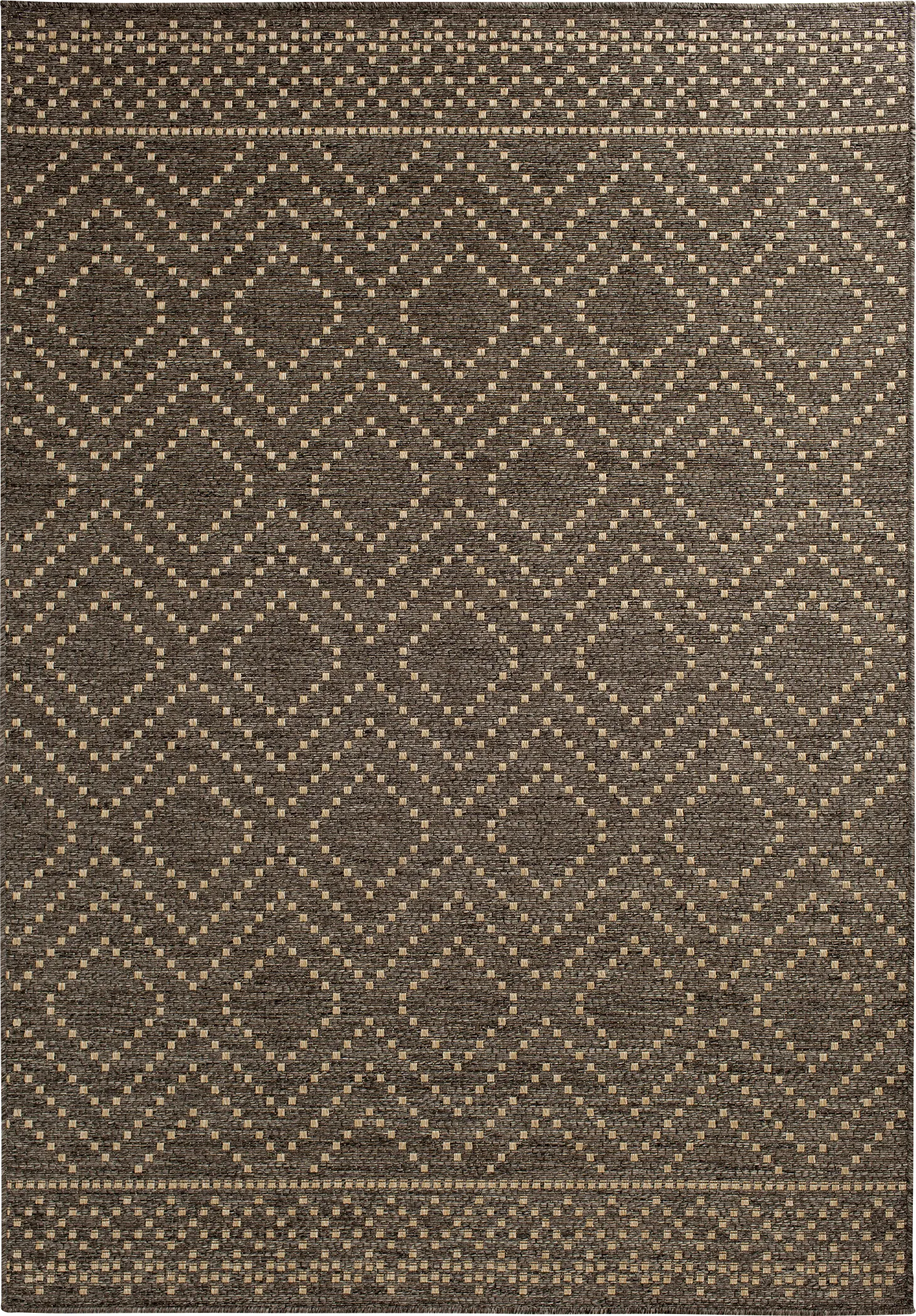 Danyal Brown 5'3 x 7'7 Indoor/Outdoor Rug