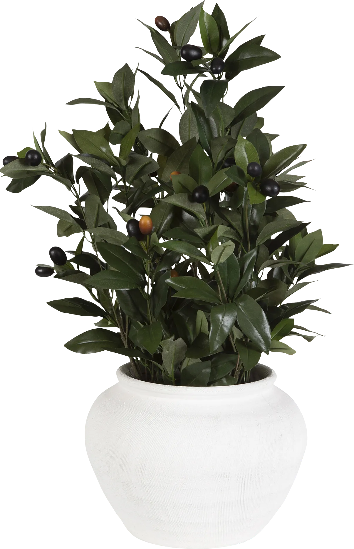 Caui Green Silk Plant