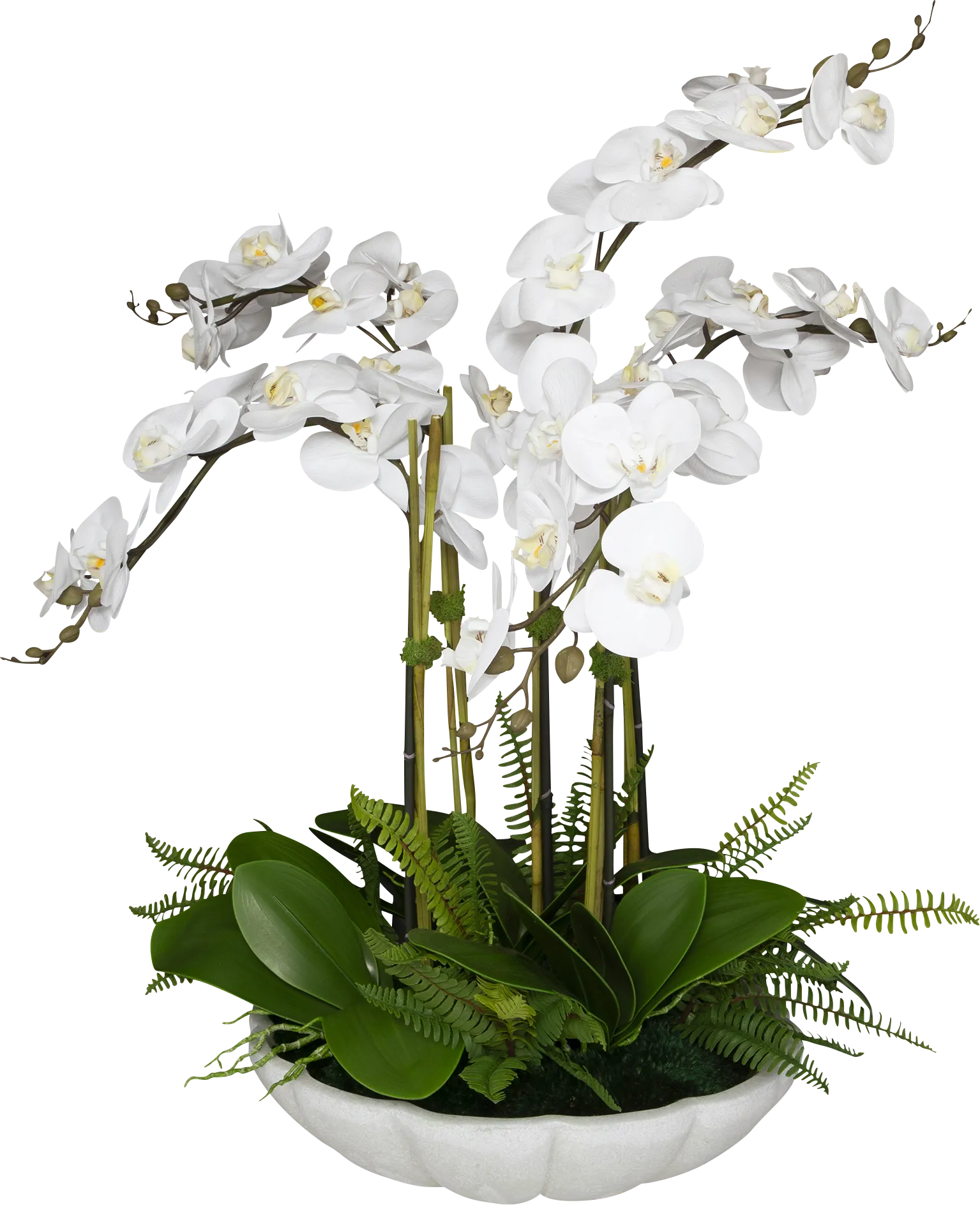 Delina White Silk Plant