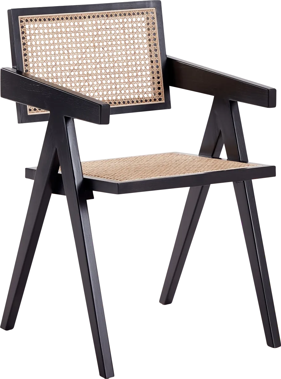 Bluesunny Black Arm Chair