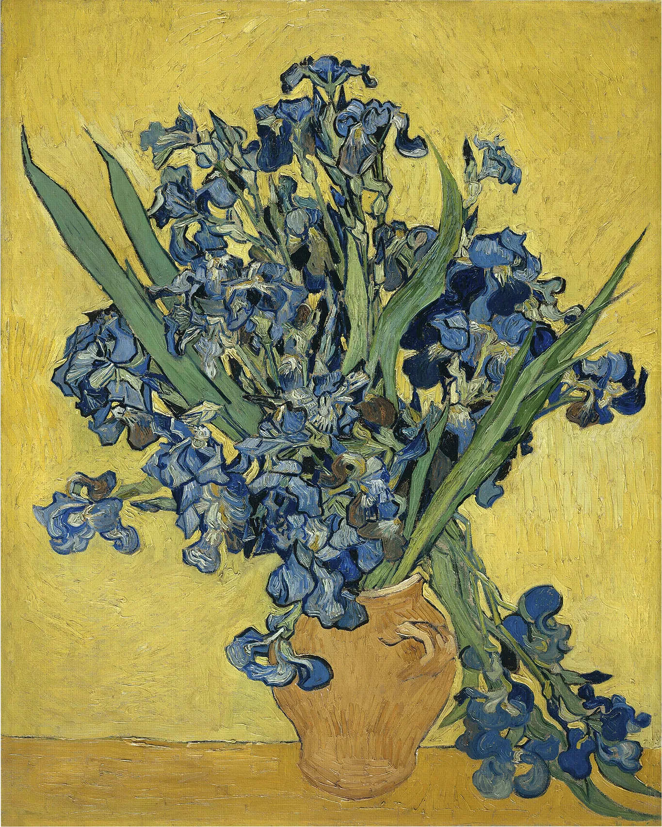 Bold Irises Multi Artwork