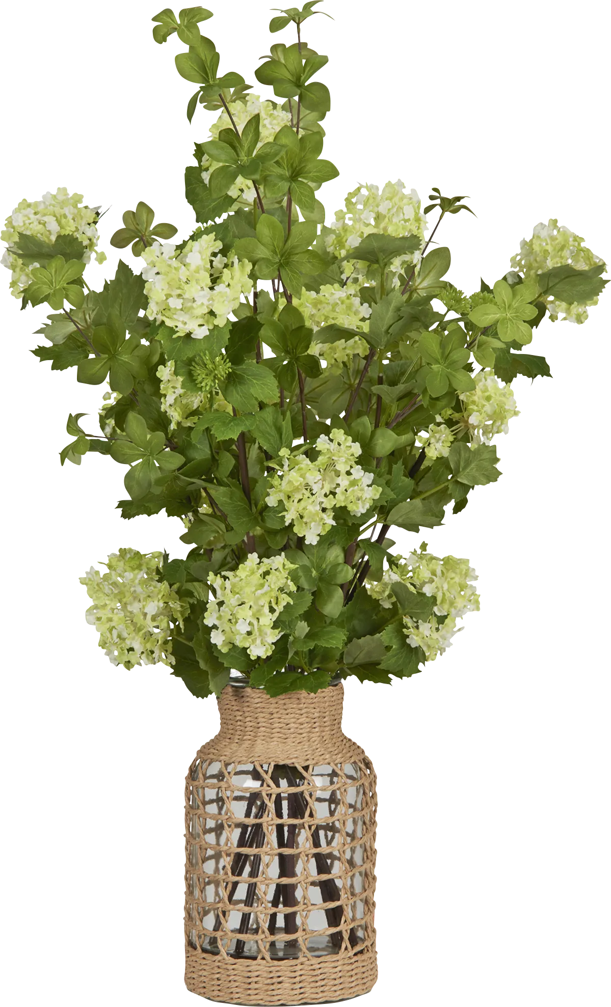 Chinasa Natural Silk Plant