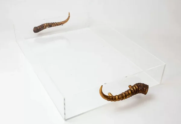 Acrylic Tray With Horns by Jamie Dietrich