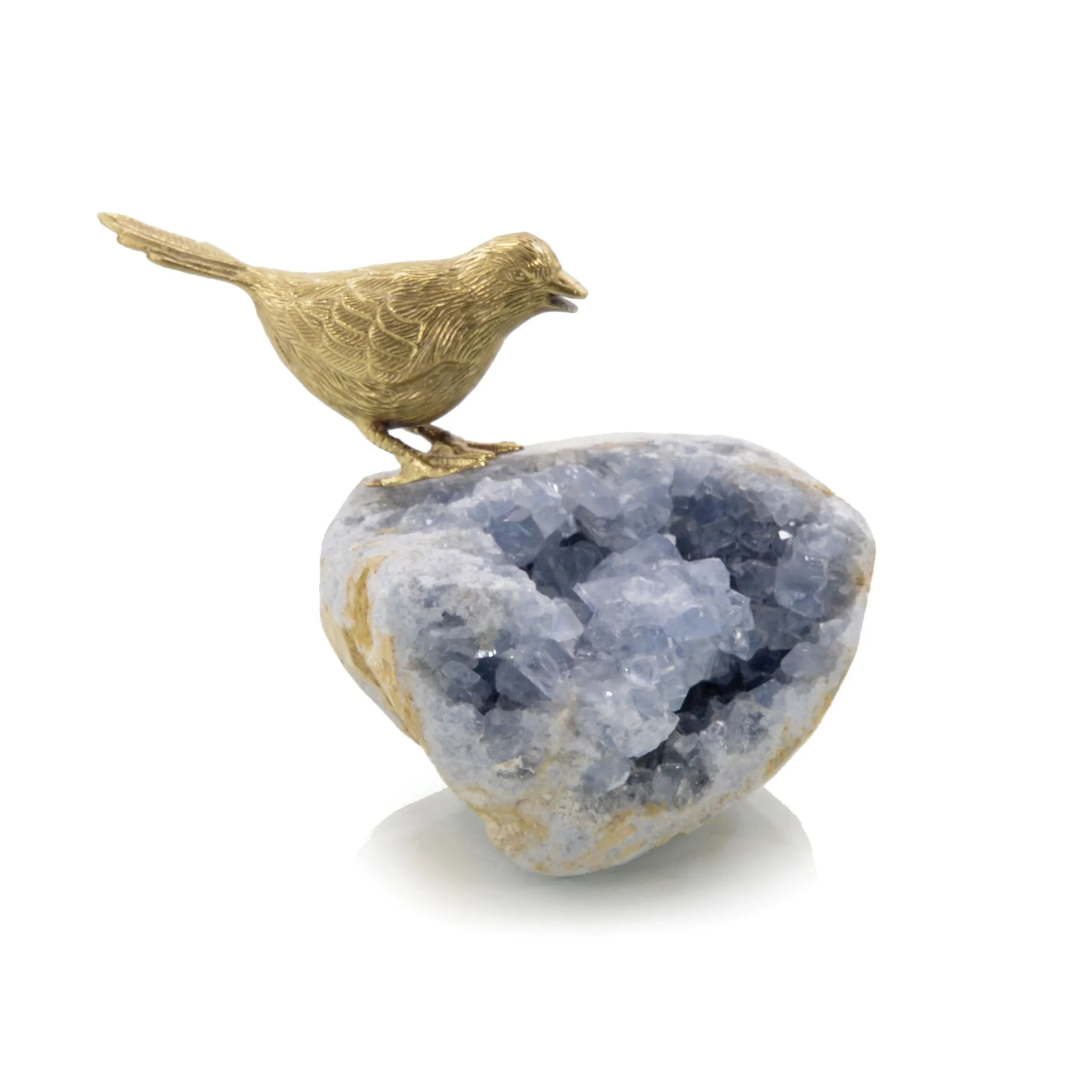 Bird On Celestite Rock I