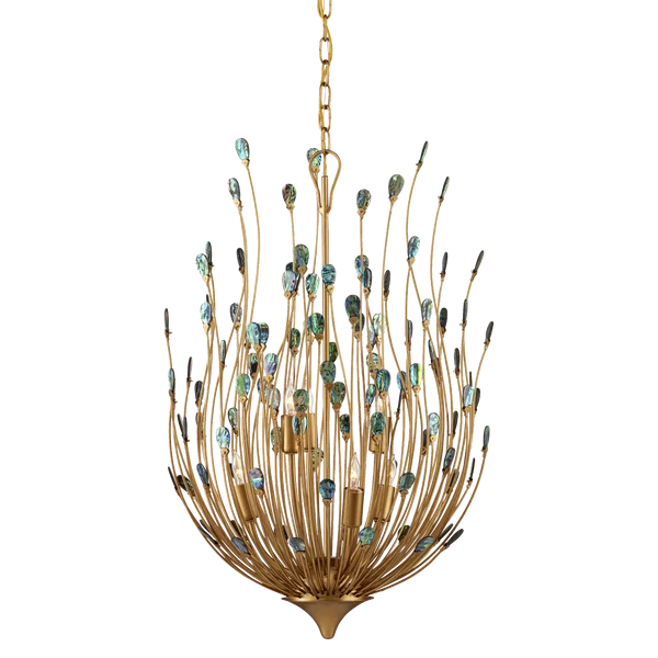 Currey & Company Delphos 19.5" Paua Shell 6 Light Chandelier