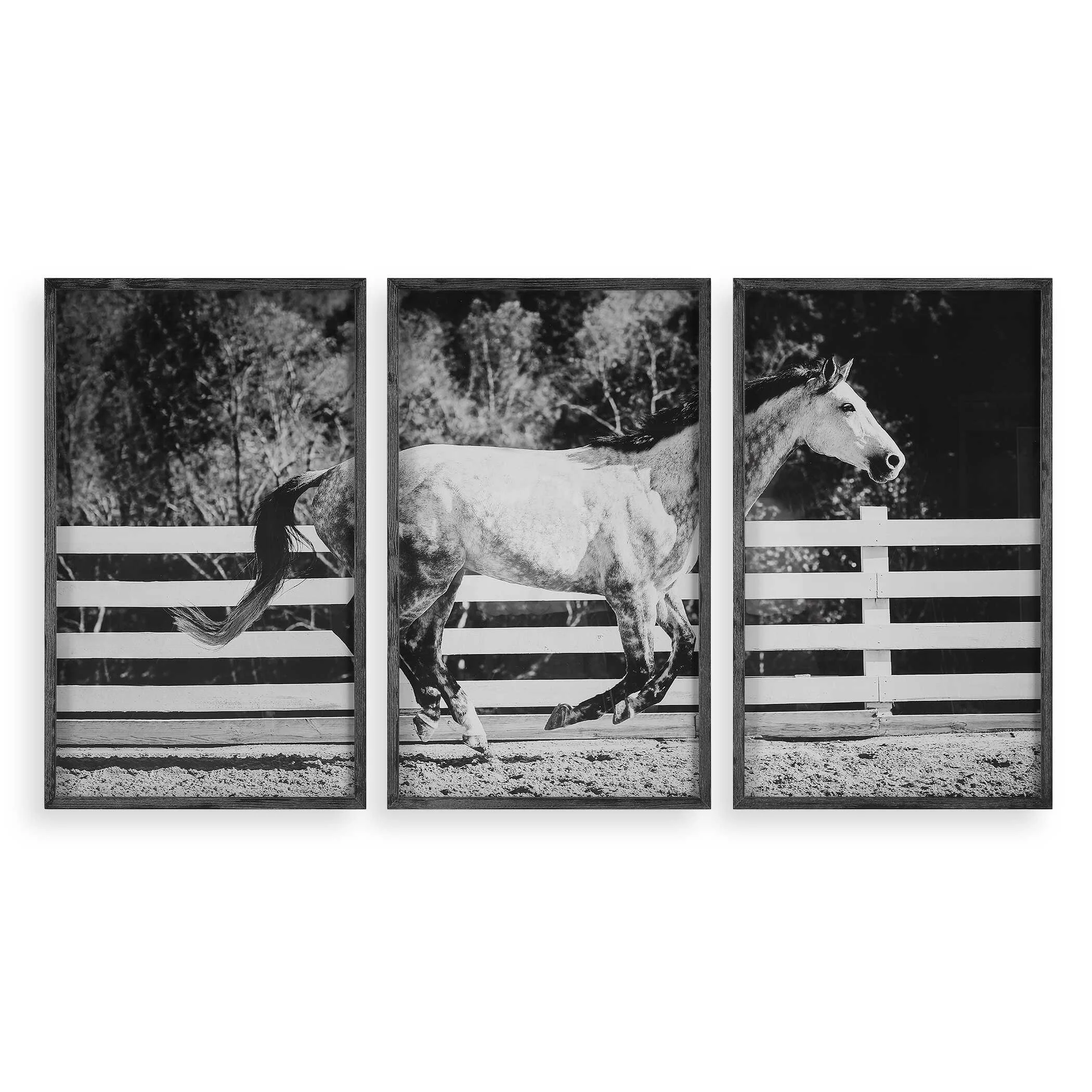 Galloping Forward Equine Prints, Set/3