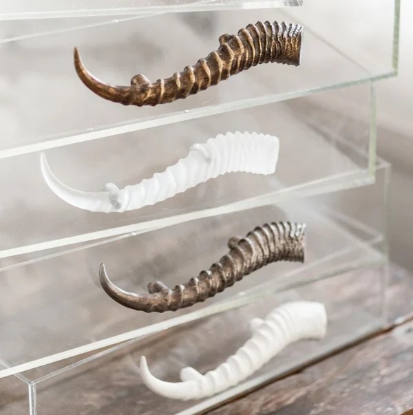 Jamie Dietrich Horned Acrylic Tray