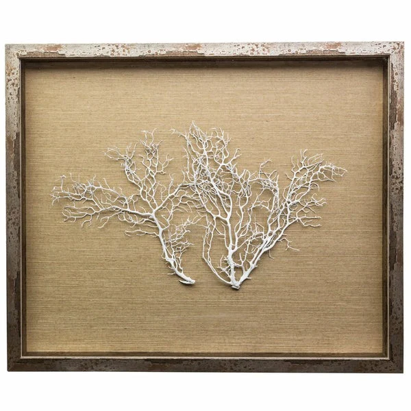 Jamie Dietrich Sea Fan Framed Graphic Art