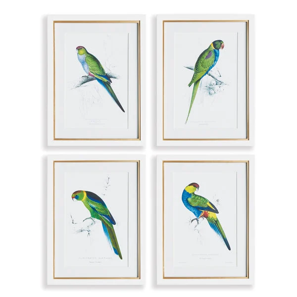 Napa Home And Garden Colorful Parrots Prints St/4