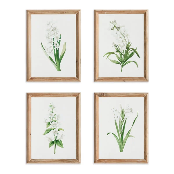 Napa Home And Garden Garden Bloom Prints, Set Of 4