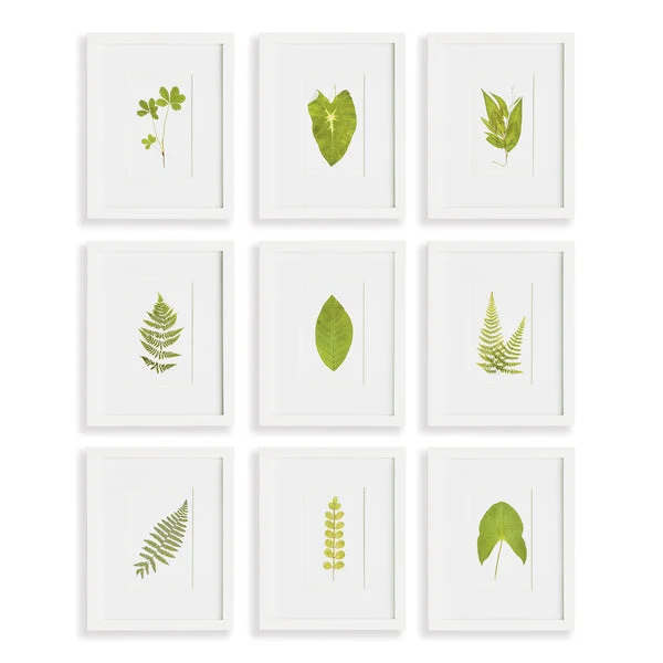 Napa Home And Garden Green Leaf Petite Prints St/9