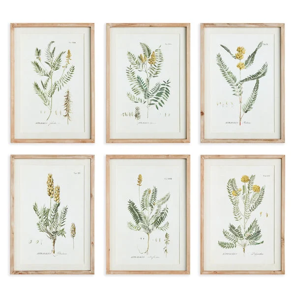 Napa Home And Garden Mid Summer Blooms Prints, Set Of 6