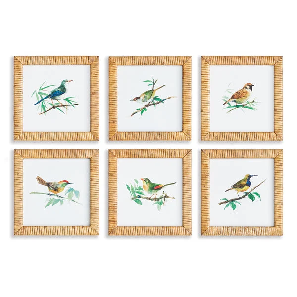 Napa Home And Garden Songbird Petite Prints St/6
