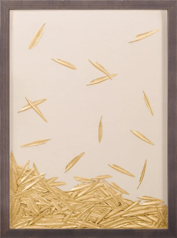 Natural Curiosities Art, Fallen Feathers 2