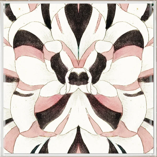 Natural Curiosities Carnations 1 Art