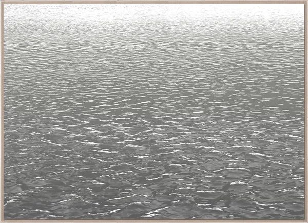 Natural Curiosities L.A. River Photograph