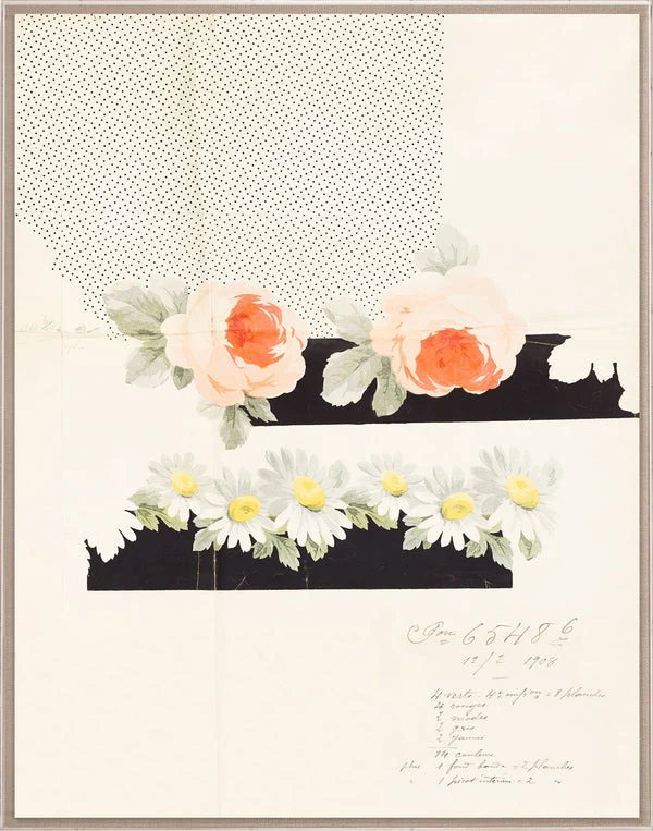 Natural Curiosities Pignier Grenoble 2 Art