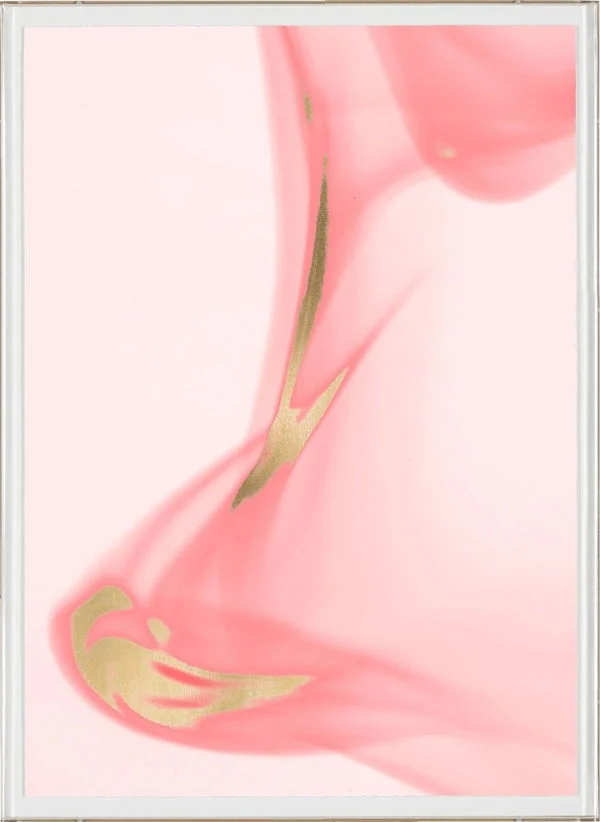 Natural Curiosities Prairie in Pink Art No. 3