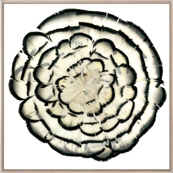 Natural Curiosities Queen Victoria Feathers 2 Art