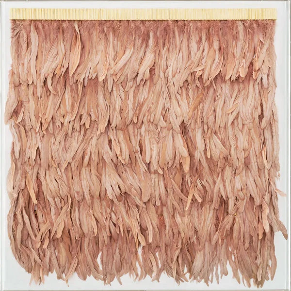 Natural Curiosities Rose Feathers Art