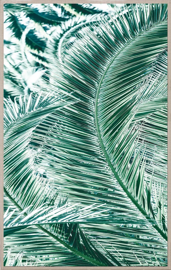 Natural Curiosities Tropicana 1 Art