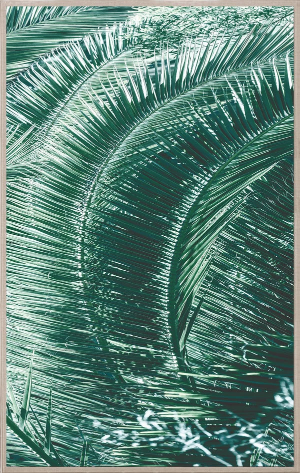 Natural Curiosities Tropicana 2 Art