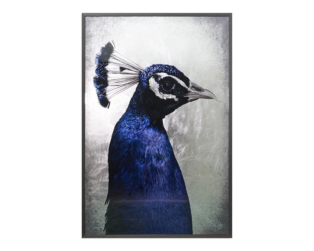 The Peacock