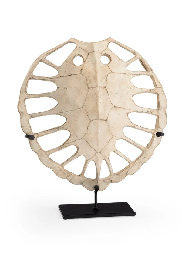 Wildwood Sulcata Turtle