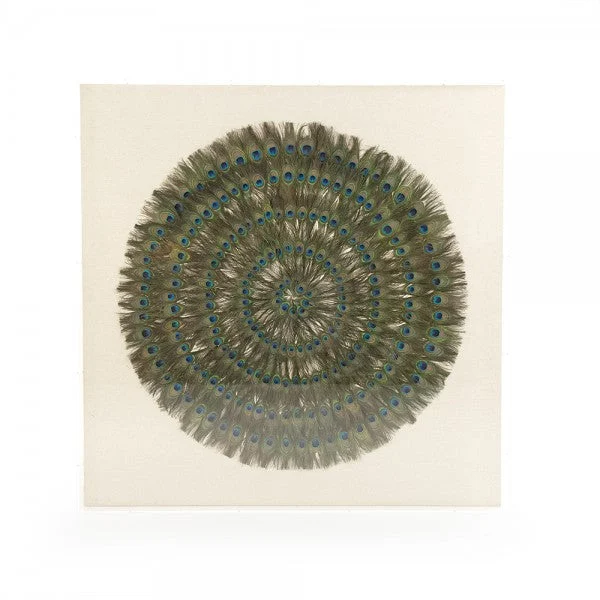 Zentique Abstract Paper Acrylic Framed Art Peacock Feathers On Tan Background In Acrylic Frame